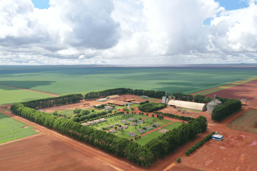 fazenda processamento e estocagem